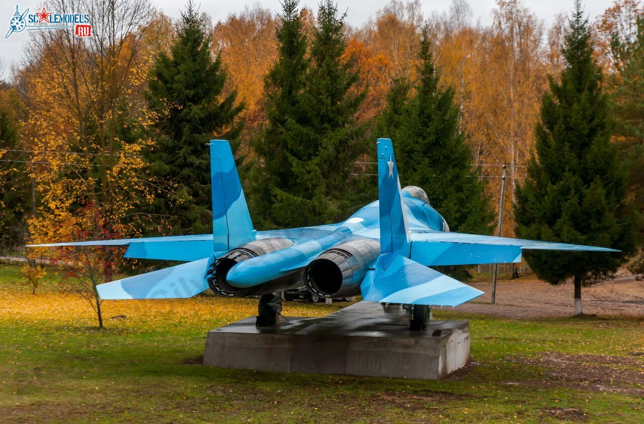 Sukhoi_T-20-10_585.jpg