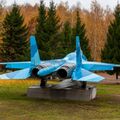 Sukhoi_T-20-10_587.jpg