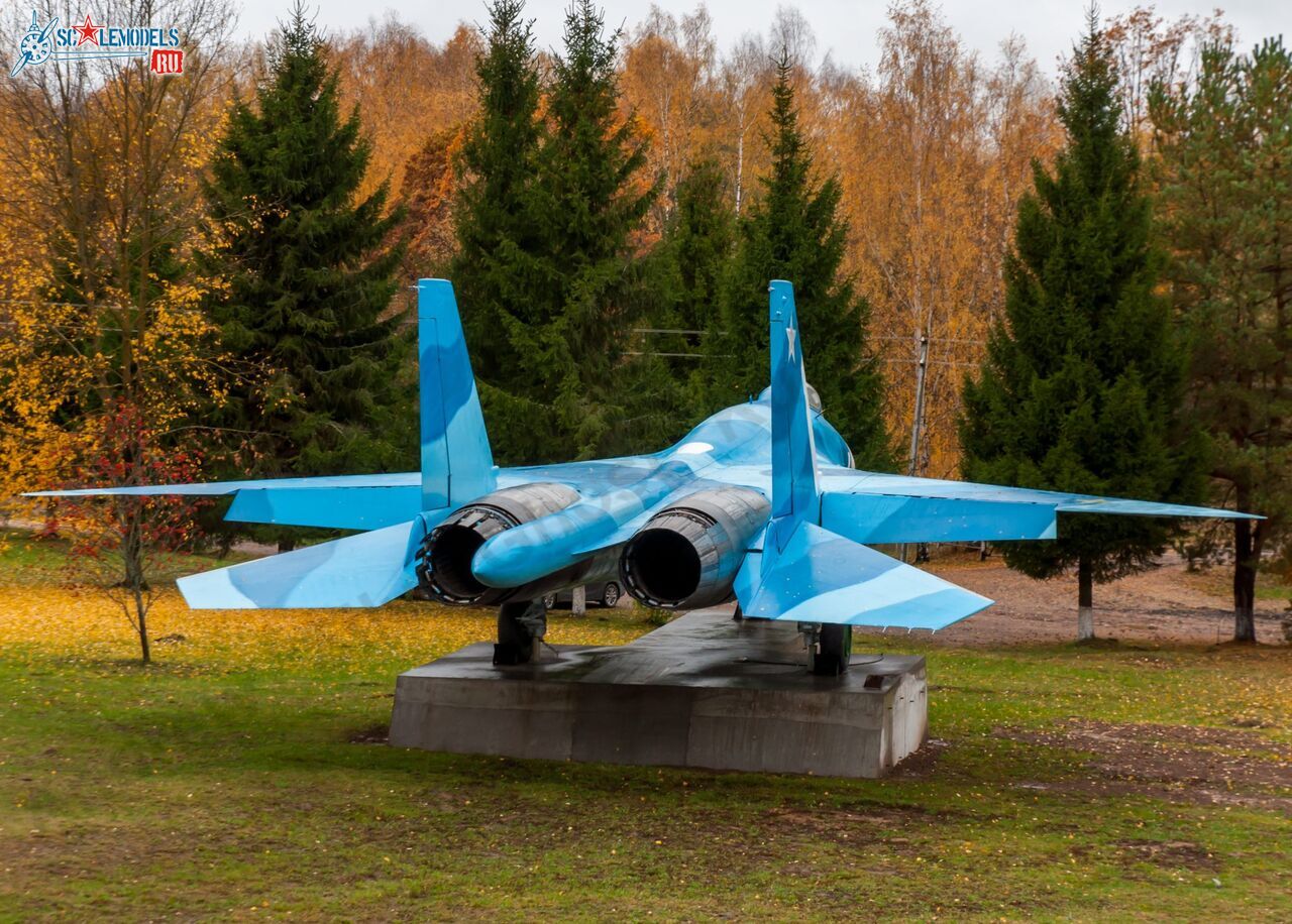 Sukhoi_T-20-10_587.jpg