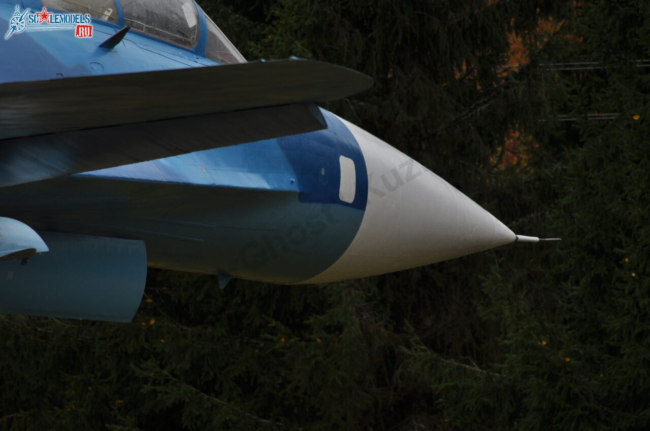 Sukhoi_T-20-10_594.jpg