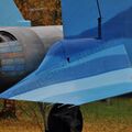 Sukhoi_T-20-10_595.jpg