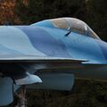 Sukhoi_T-20-10_598.jpg