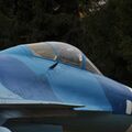 Sukhoi_T-20-10_599.jpg