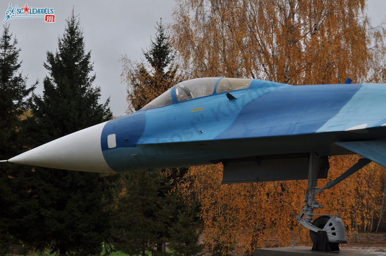 Sukhoi_T-20-10_6.jpg