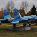 Sukhoi_T-20-10_601.jpg