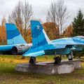 Sukhoi_T-20-10_602.jpg