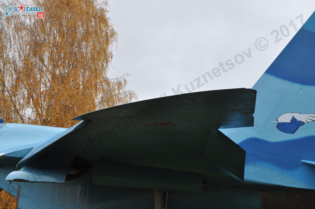 Sukhoi_T-20-10_7.jpg