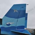 Sukhoi_T-20-10_8.jpg