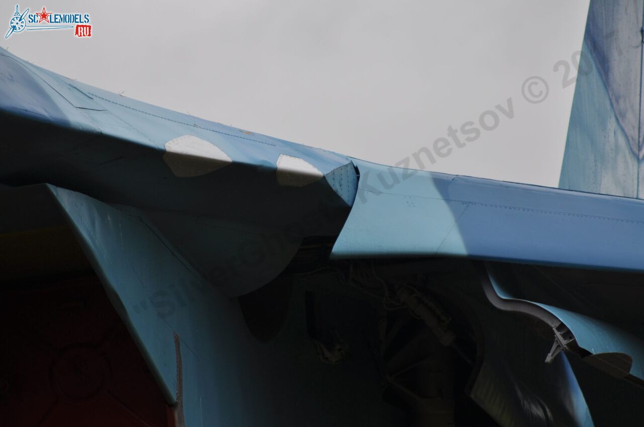 Sukhoi_T-20-10_80.jpg