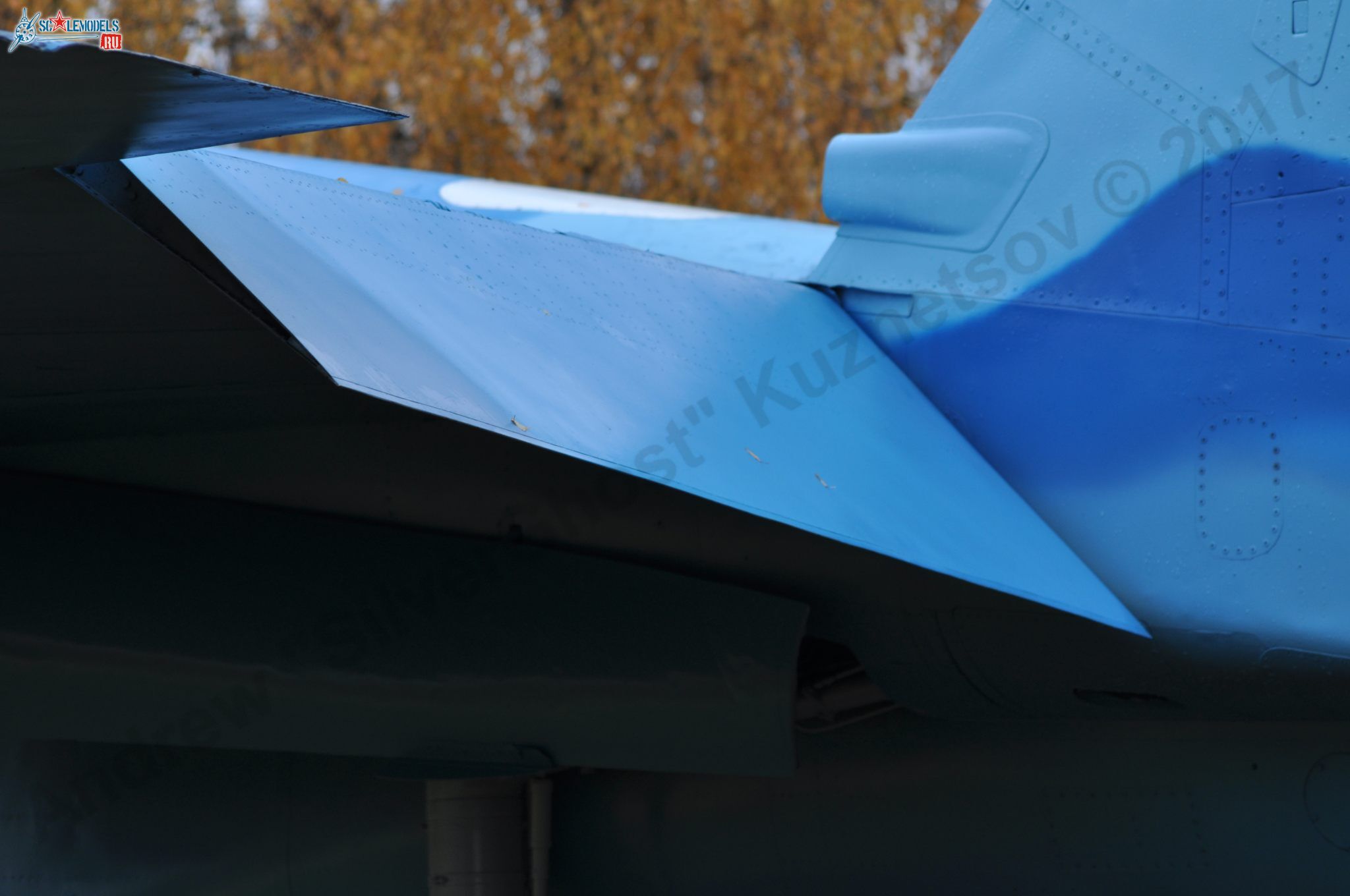 Sukhoi_T-20-10_140.jpg