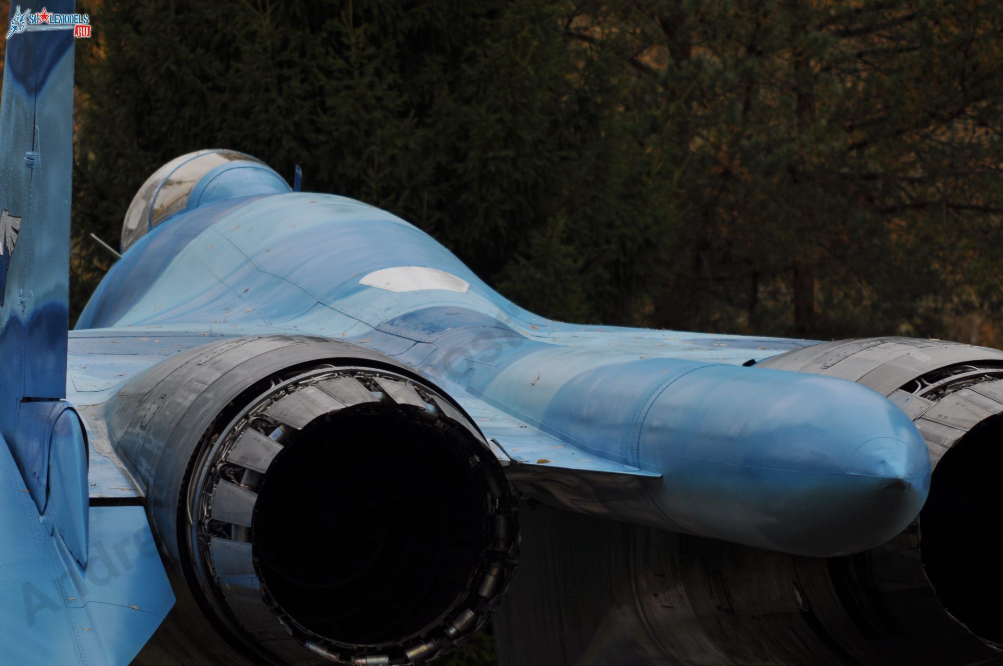 Sukhoi_T-20-10_189.jpg