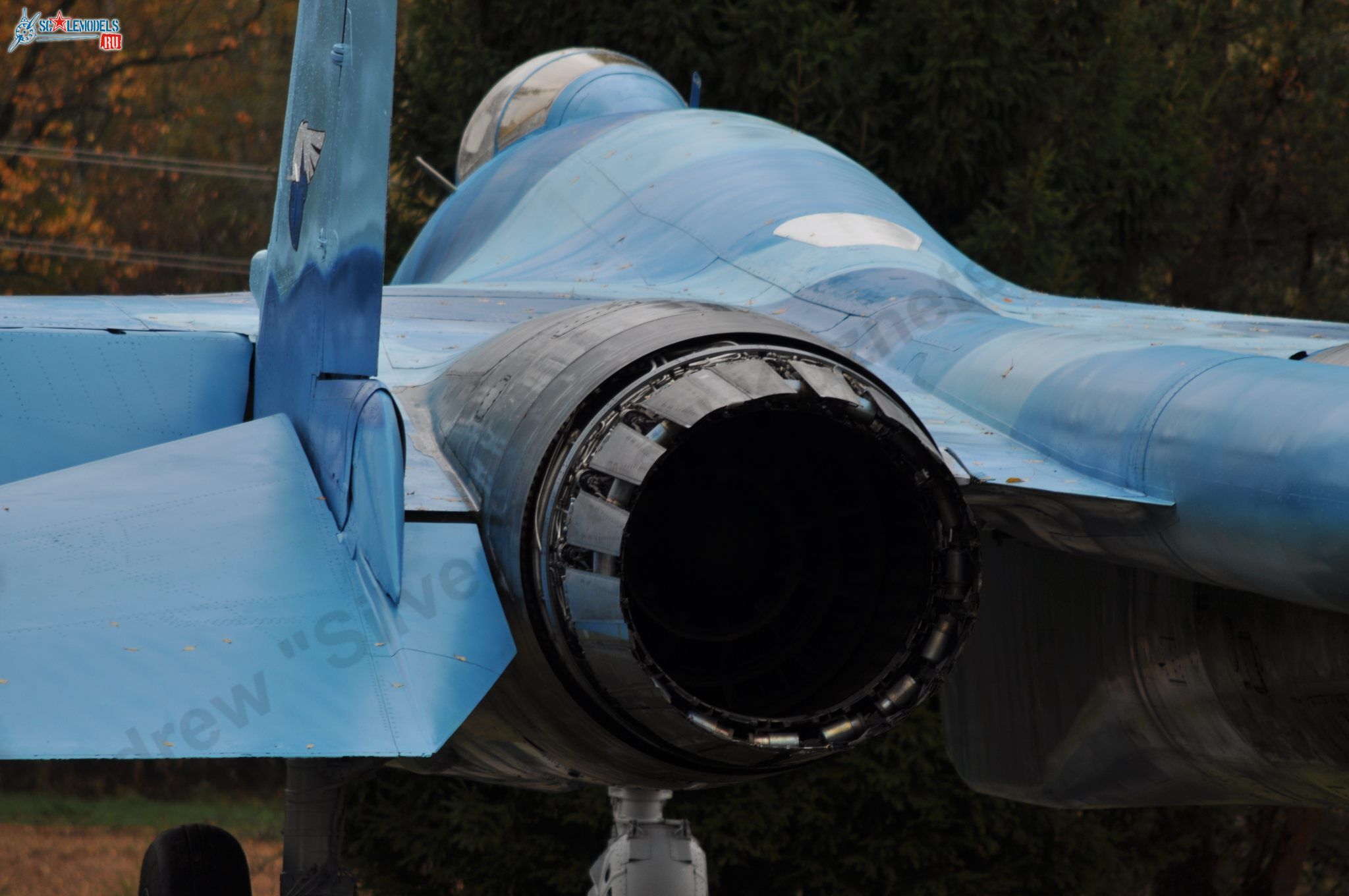 Sukhoi_T-20-10_191.jpg