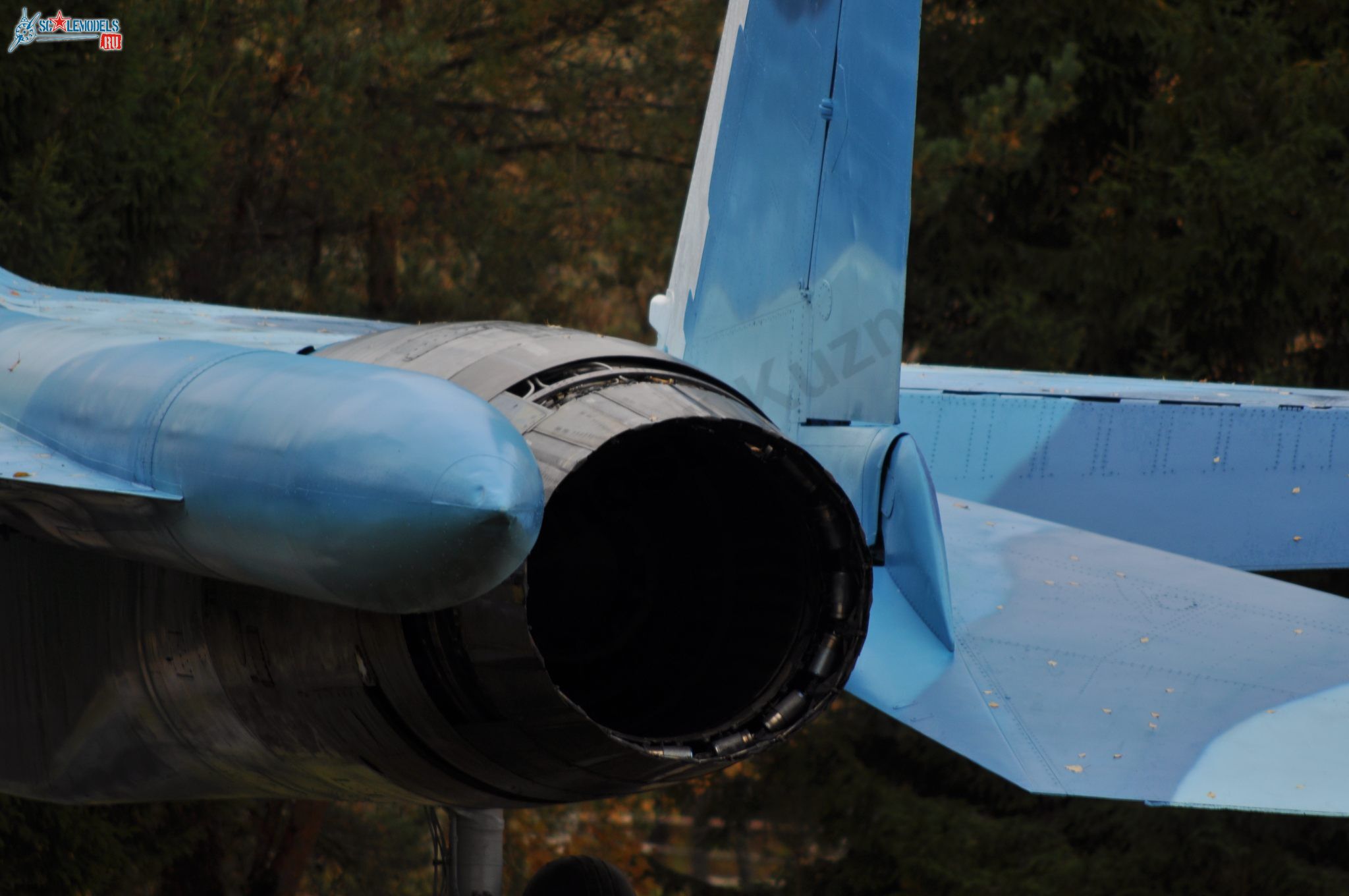 Sukhoi_T-20-10_192.jpg