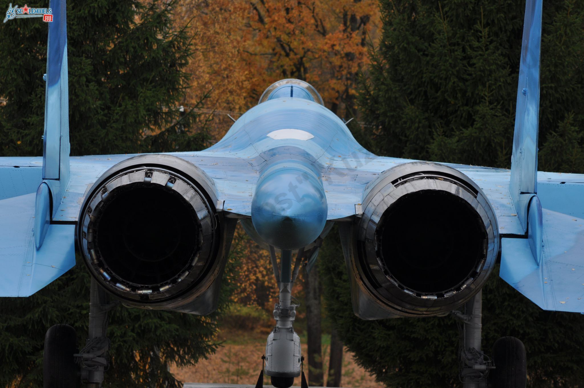 Sukhoi_T-20-10_196.jpg