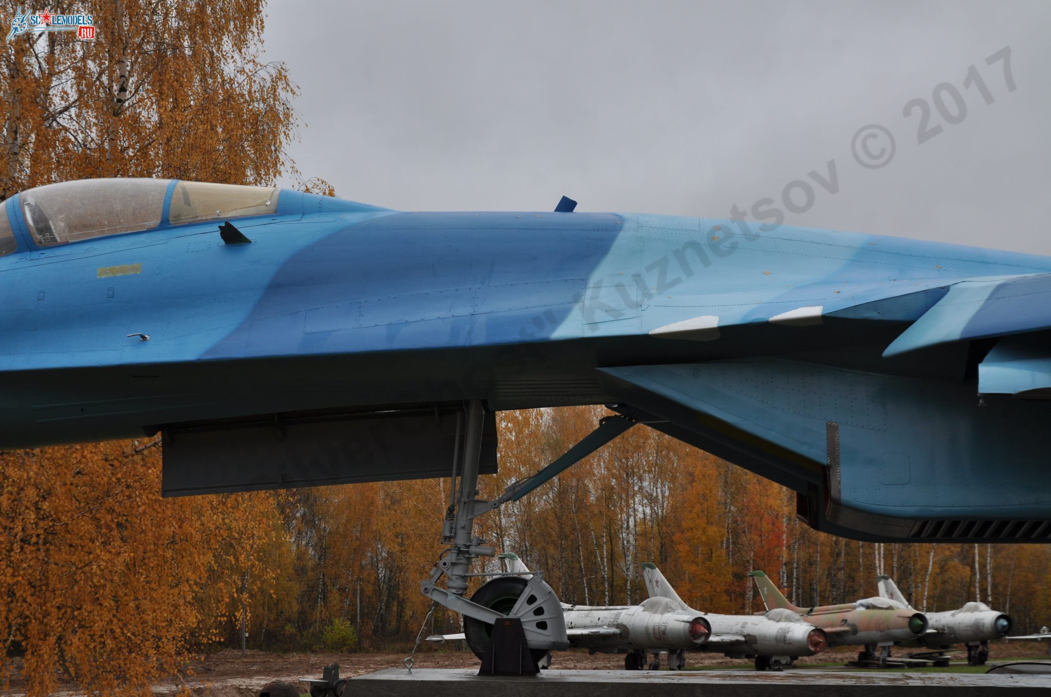 Sukhoi_T-20-10_2.jpg