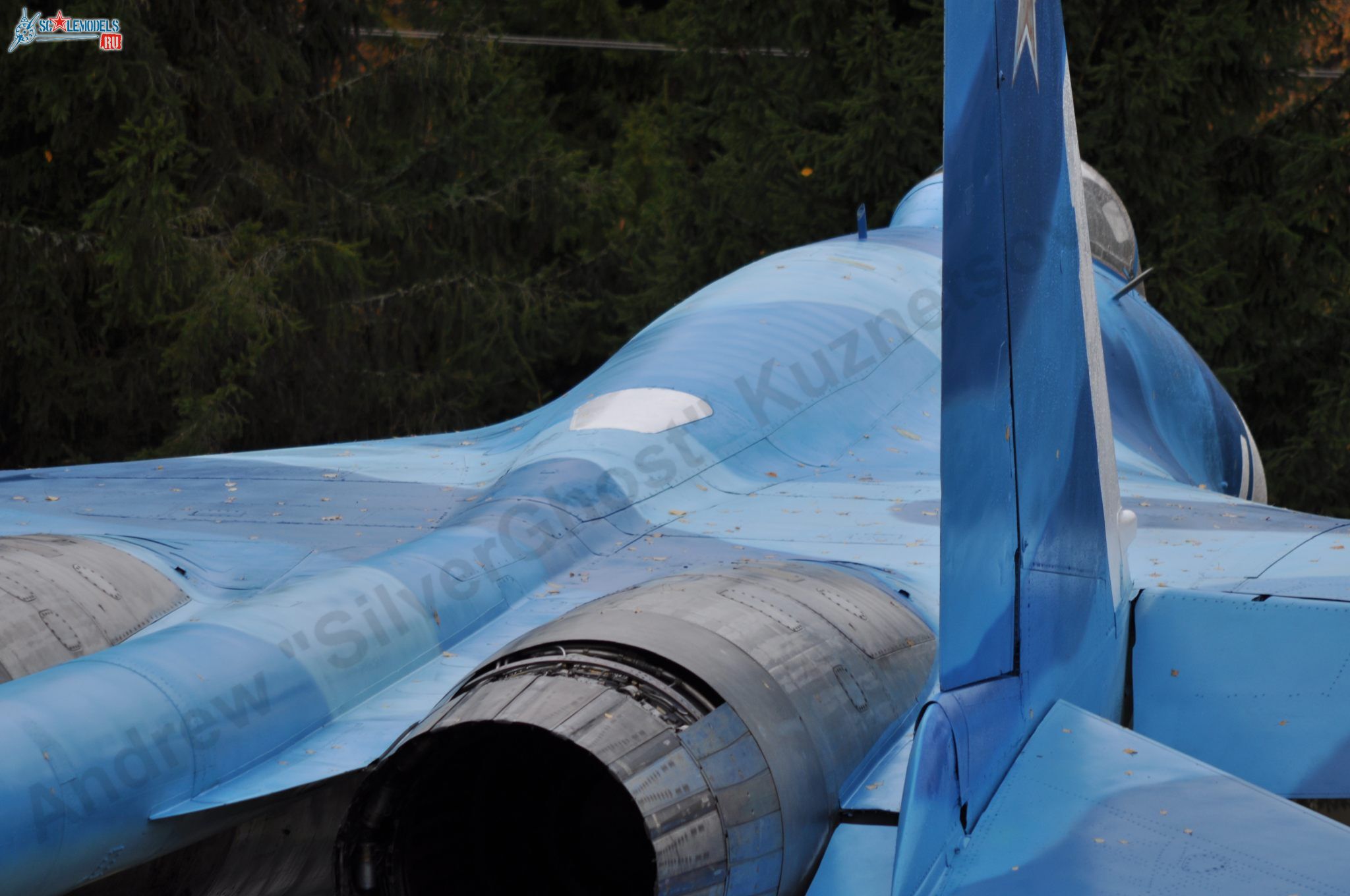 Sukhoi_T-20-10_208.jpg