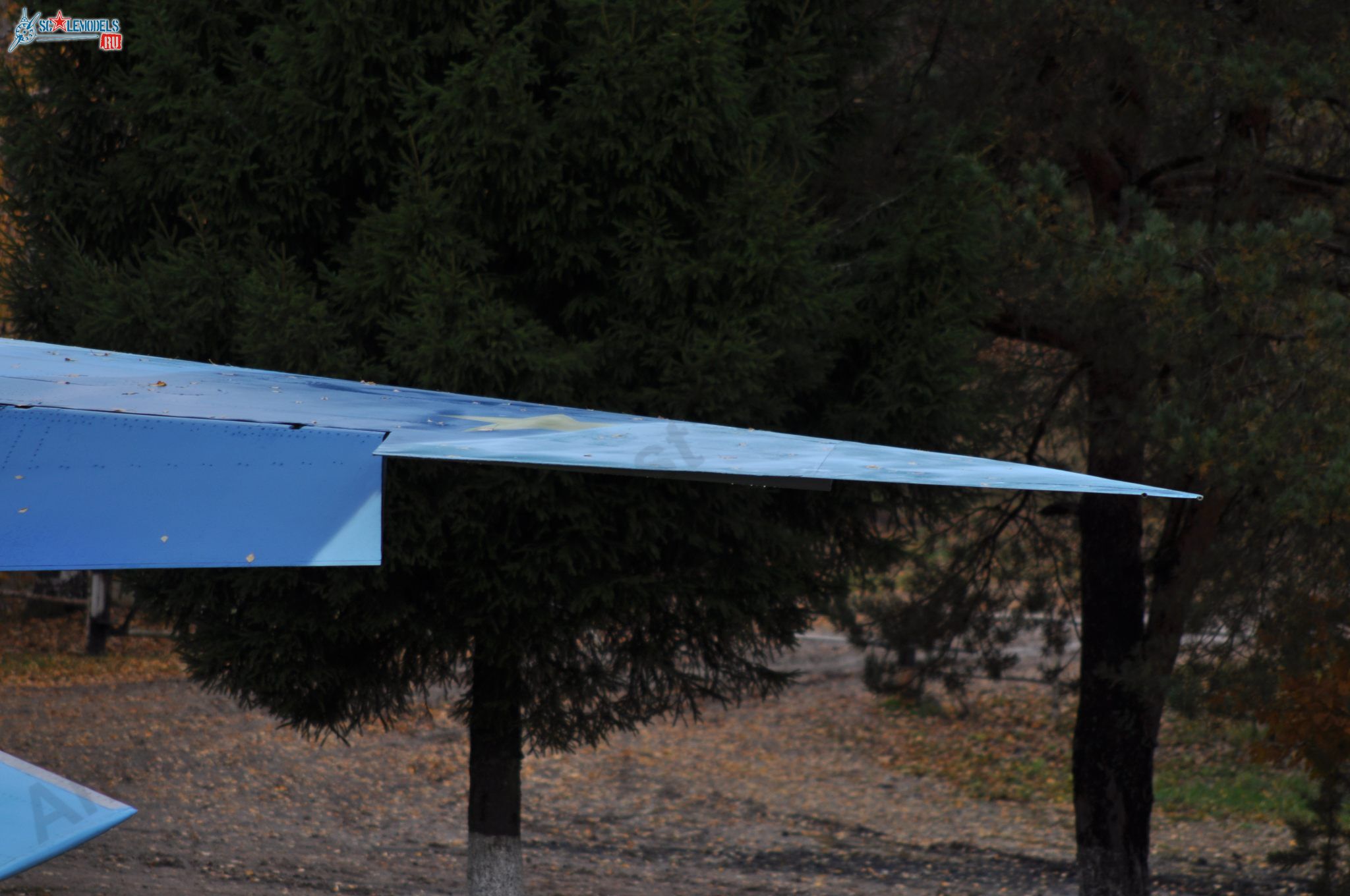 Sukhoi_T-20-10_210.jpg