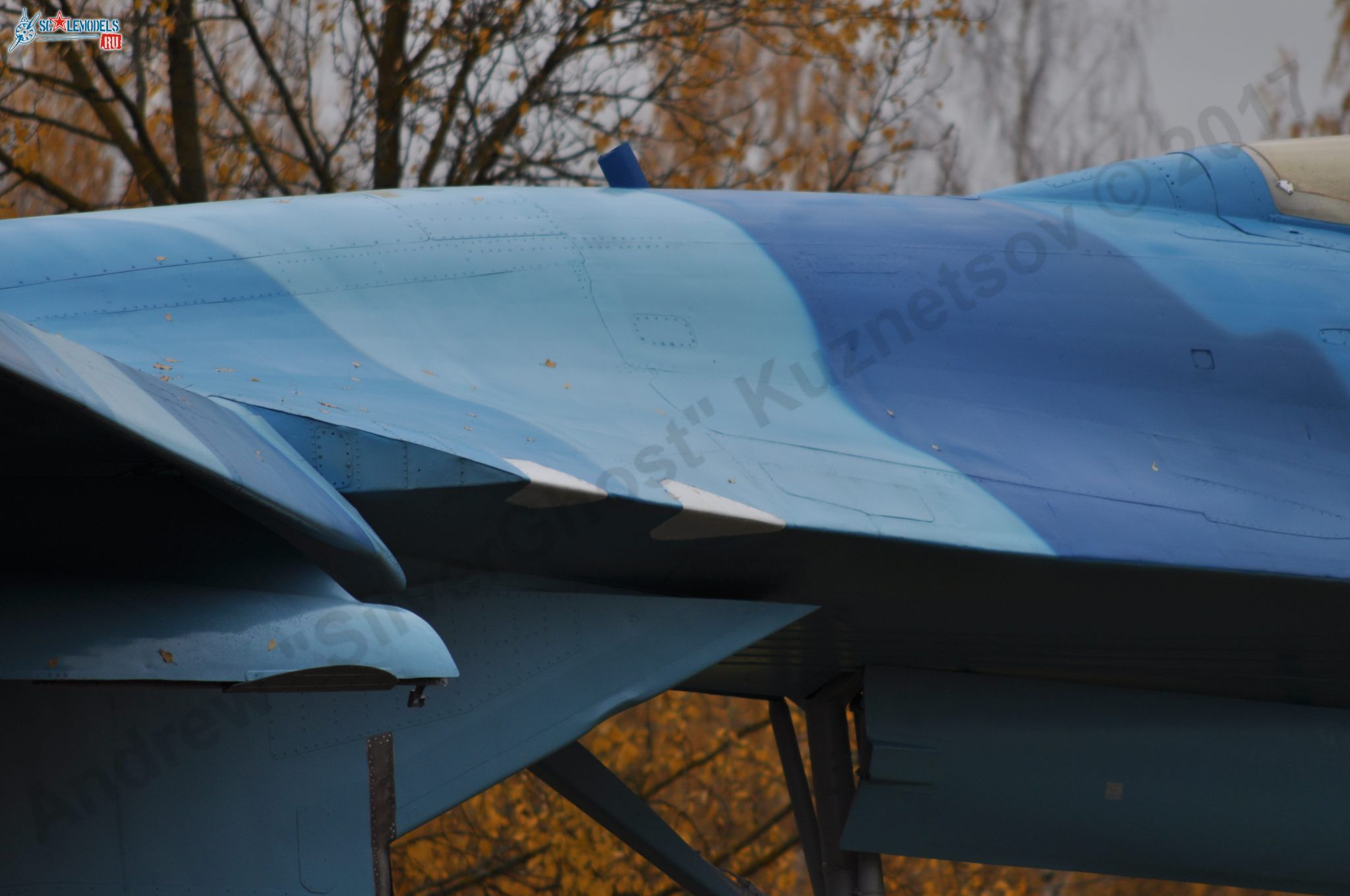 Sukhoi_T-20-10_221.jpg