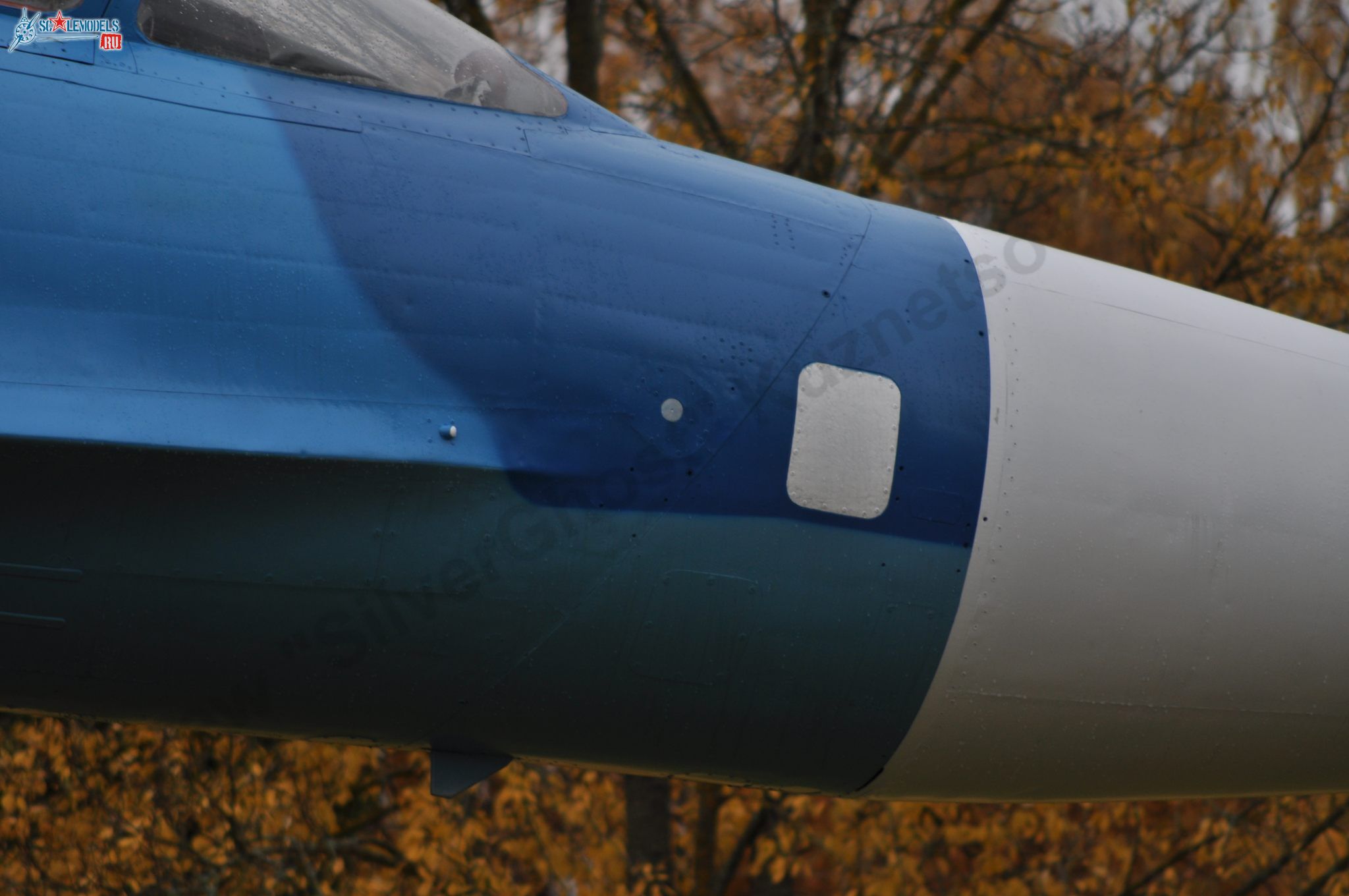 Sukhoi_T-20-10_229.jpg