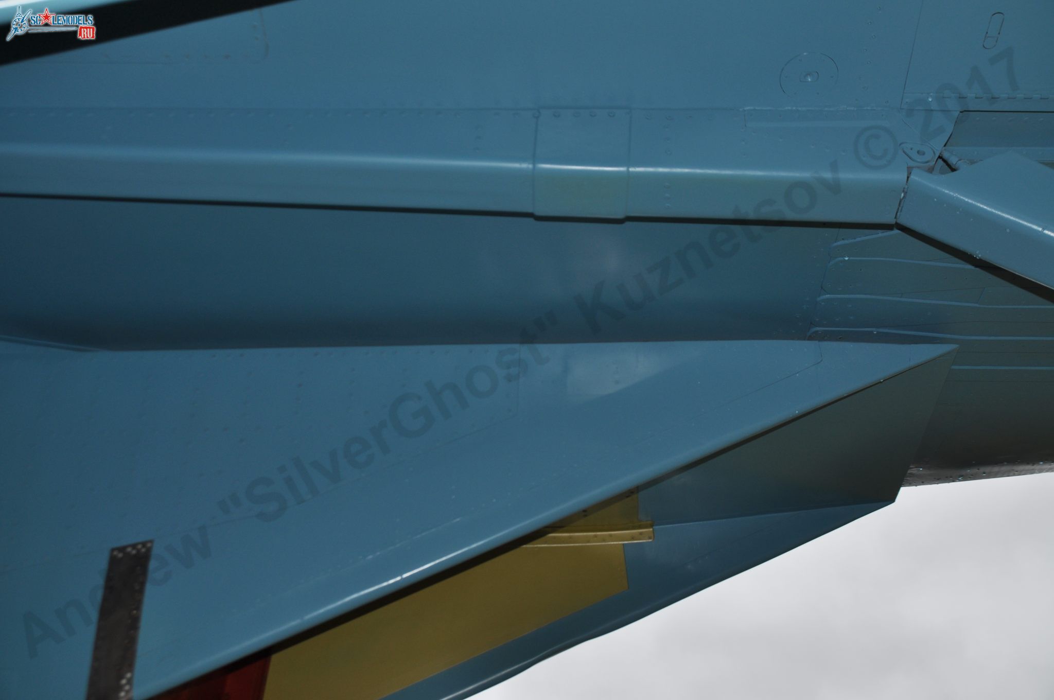 Sukhoi_T-20-10_267.jpg