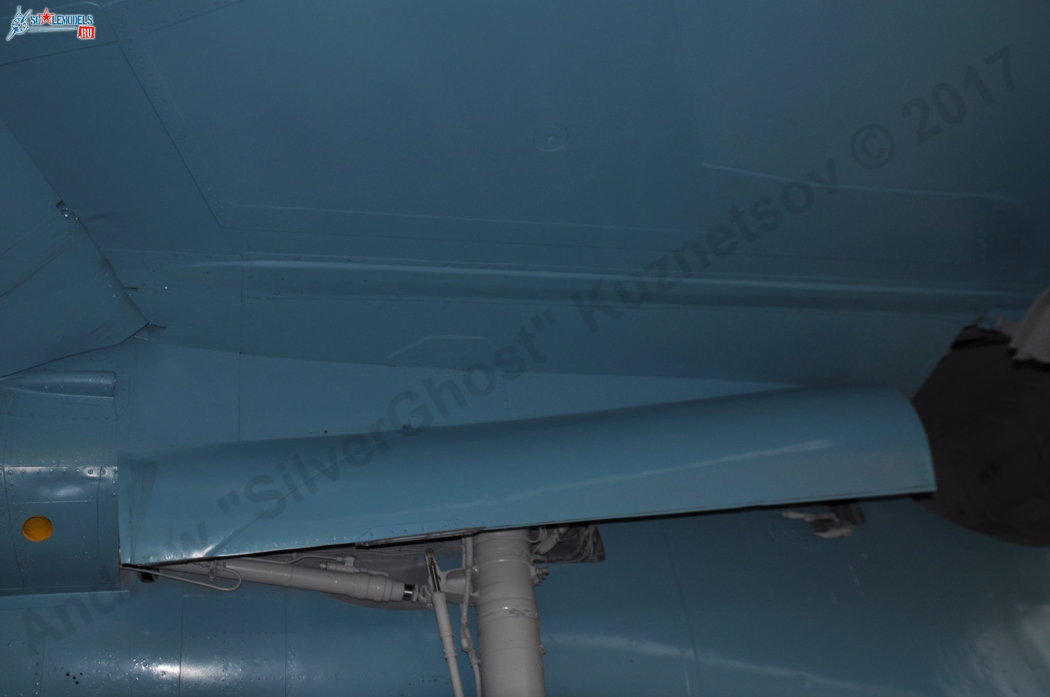 Sukhoi_T-20-10_317.jpg