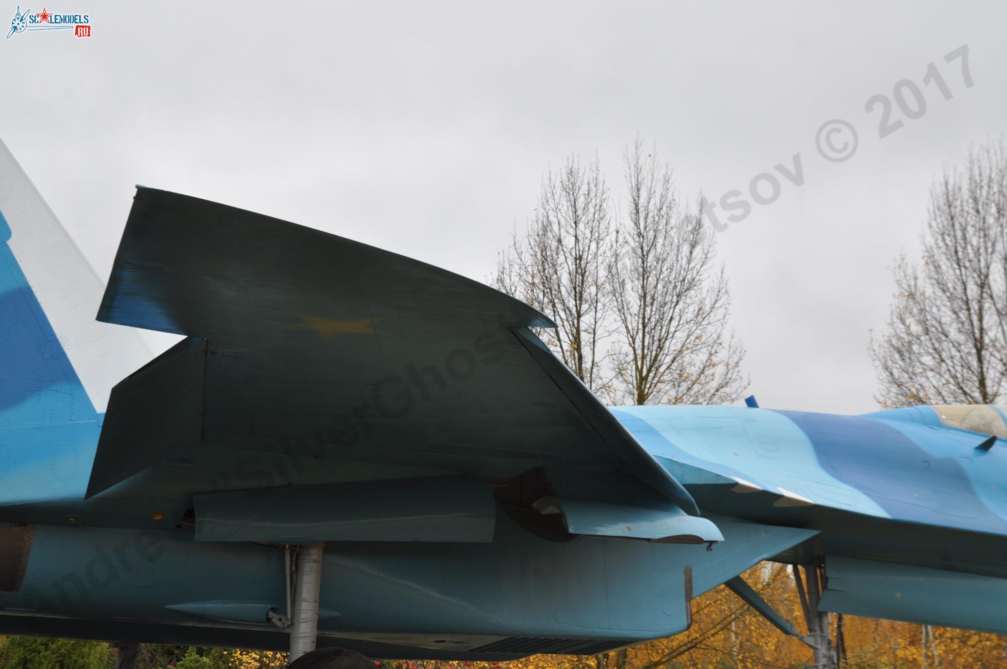 Sukhoi_T-20-10_36.jpg