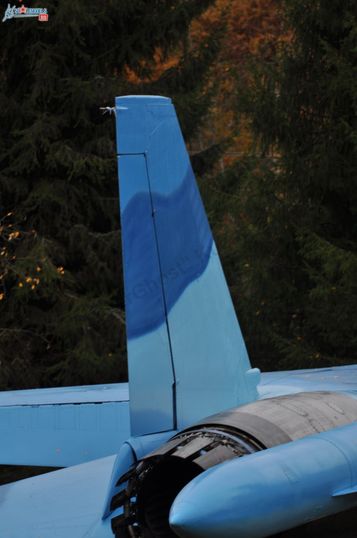 Sukhoi_T-20-10_502.jpg