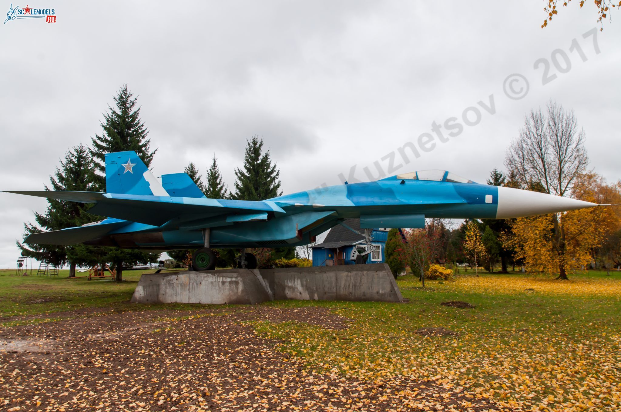 Sukhoi_T-20-10_529.jpg