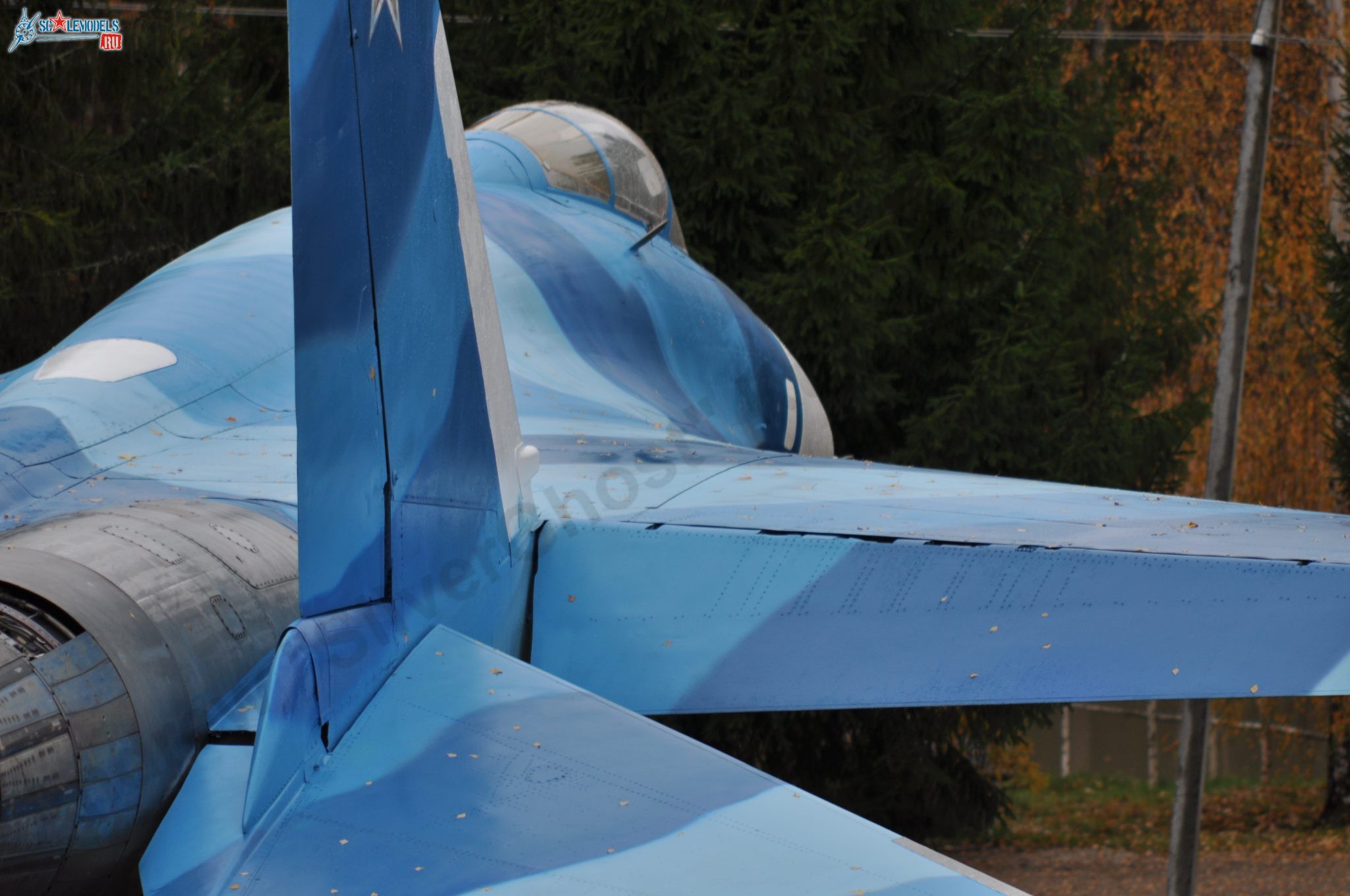 Sukhoi_T-20-10_584.jpg