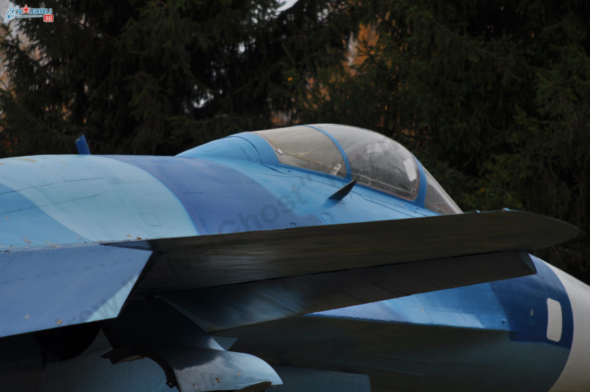 Sukhoi_T-20-10_593.jpg