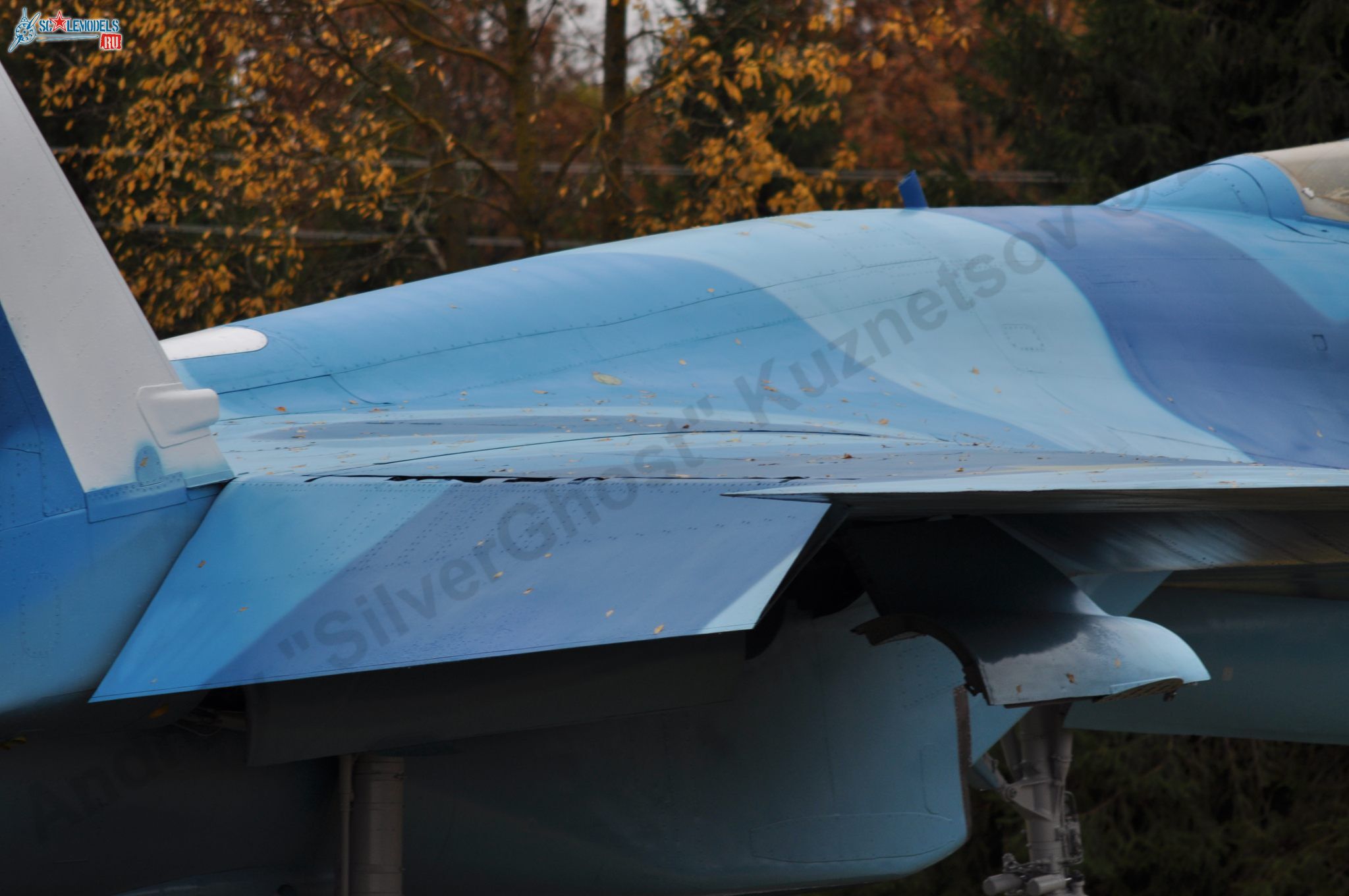 Sukhoi_T-20-10_597.jpg