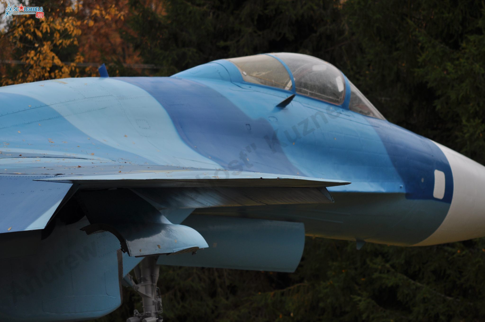 Sukhoi_T-20-10_598.jpg