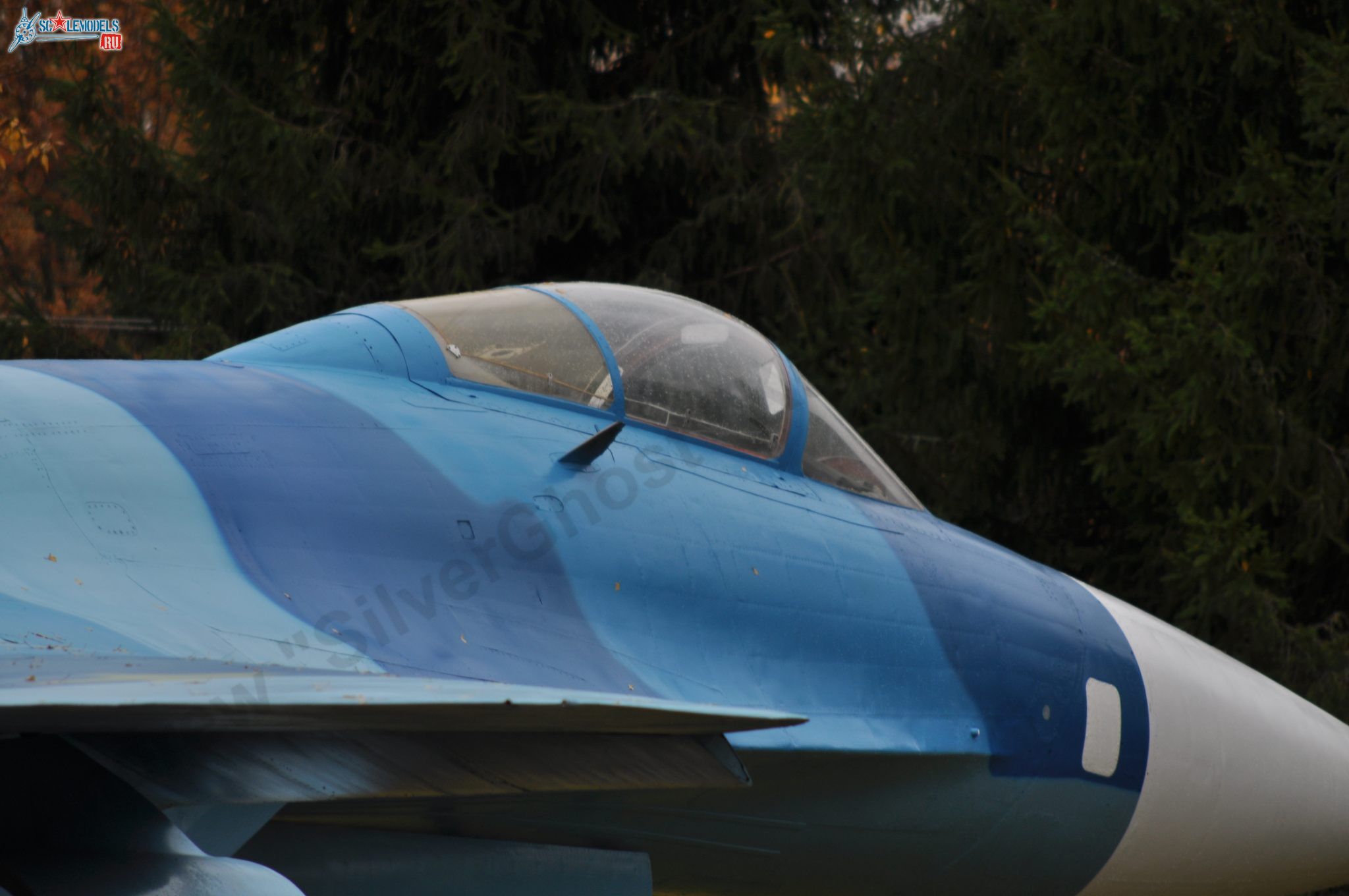 Sukhoi_T-20-10_599.jpg