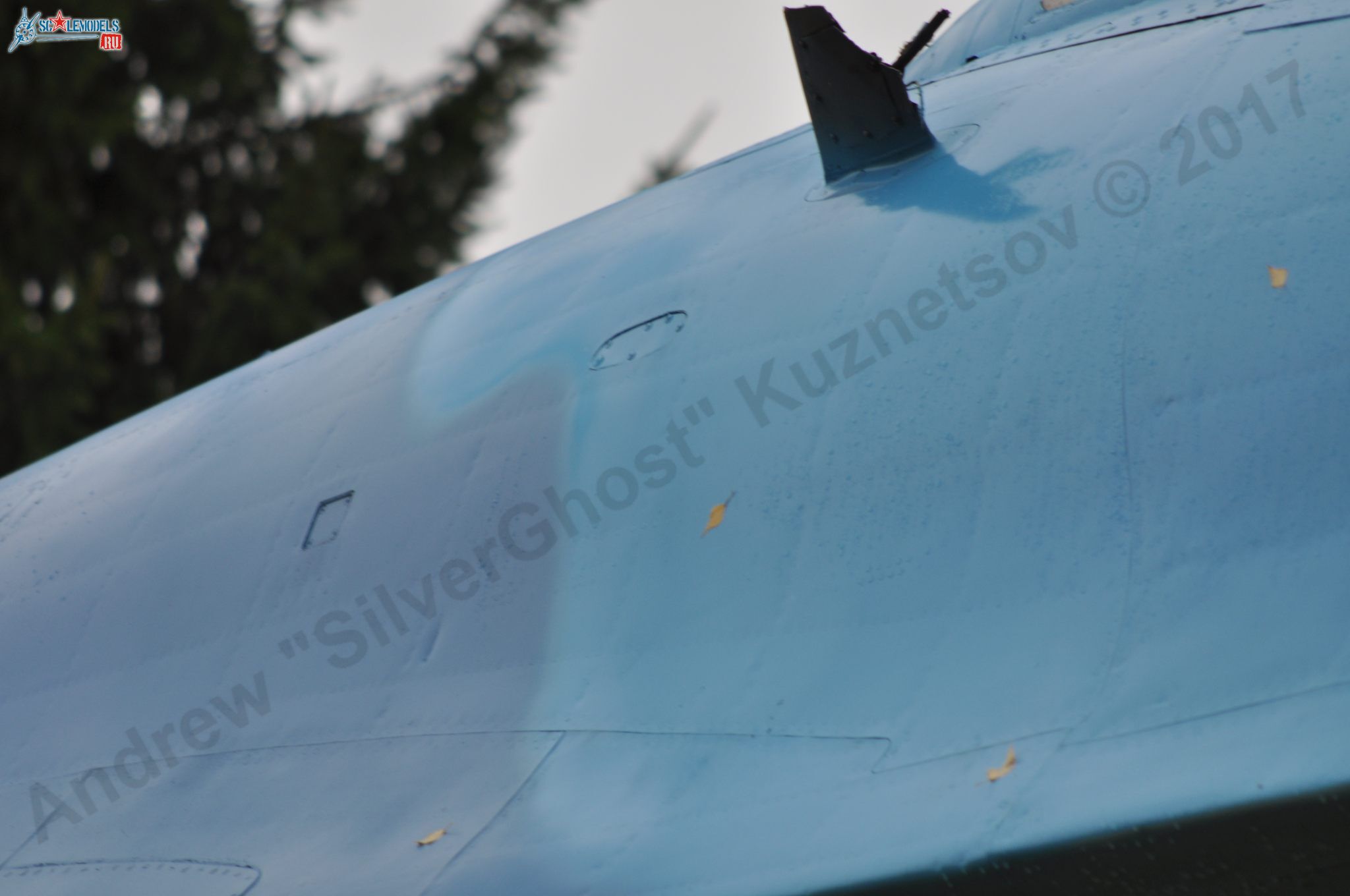 Sukhoi_T-20-10_61.jpg