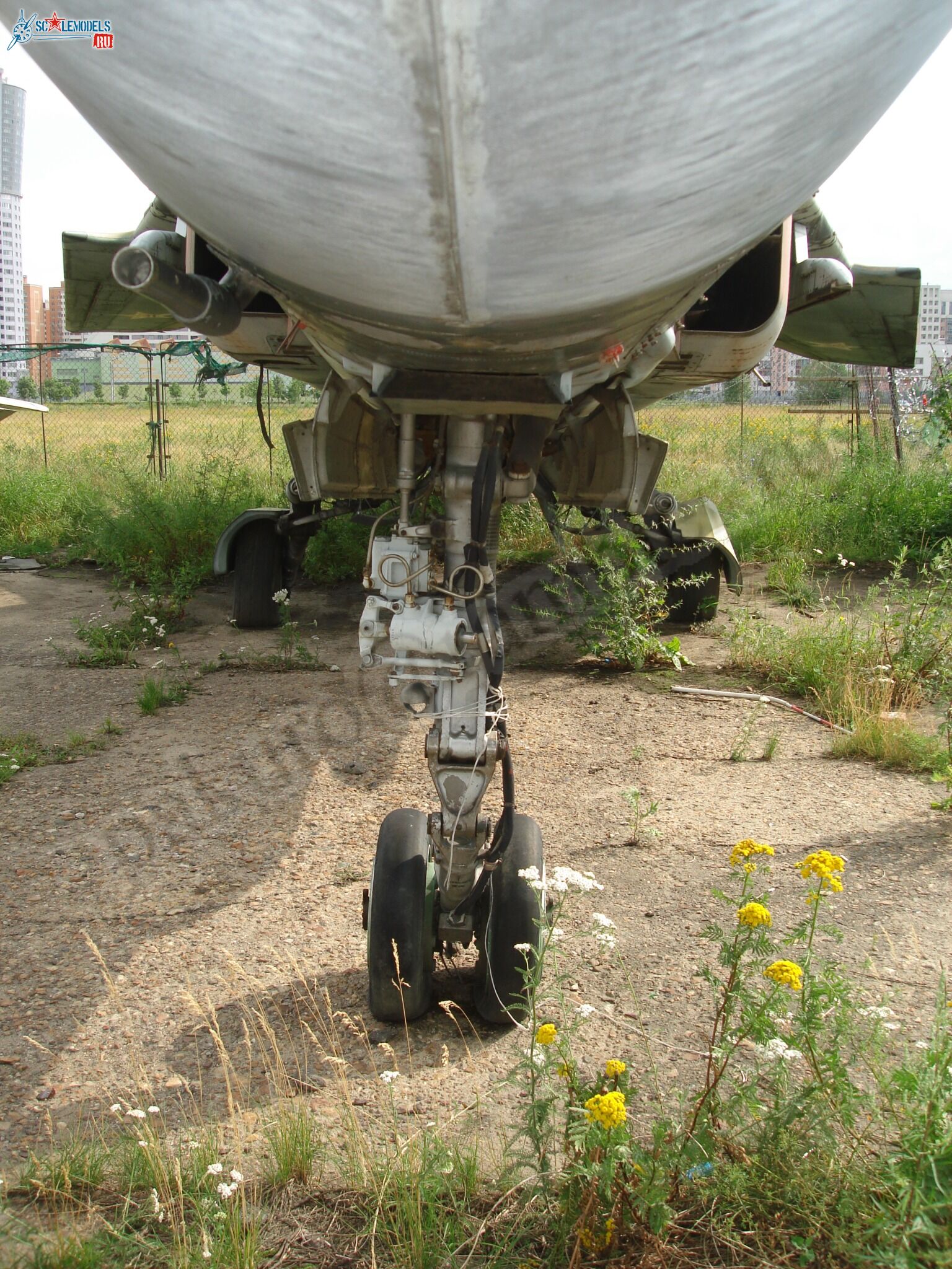 24.jpg