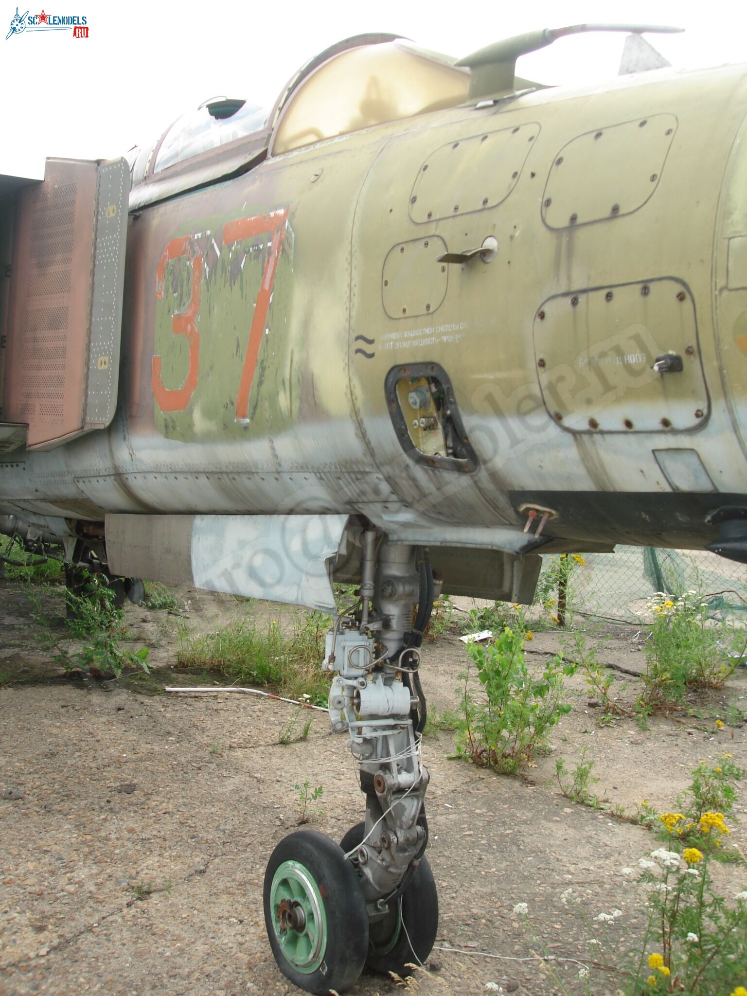 58.jpg