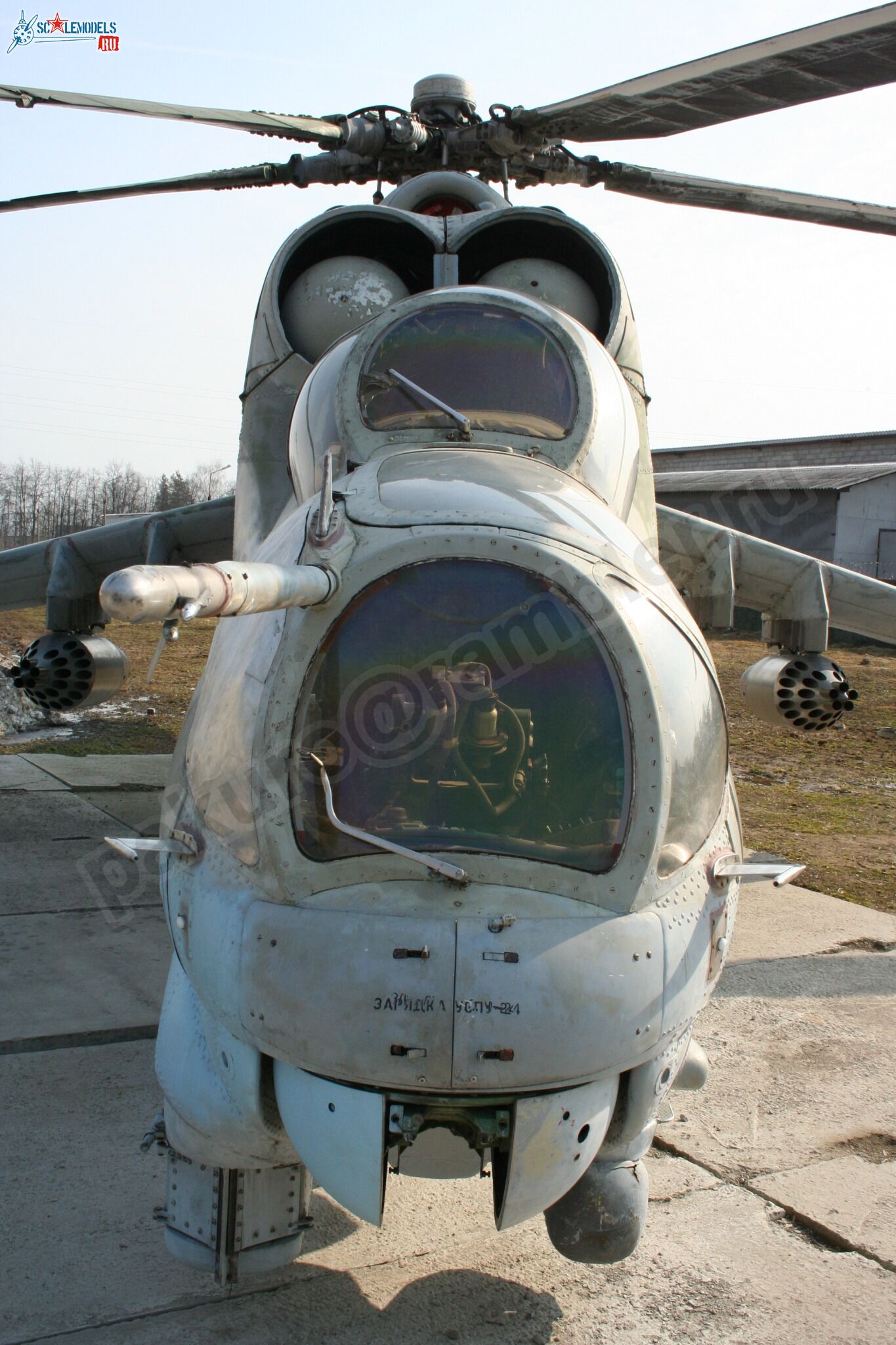62.jpg