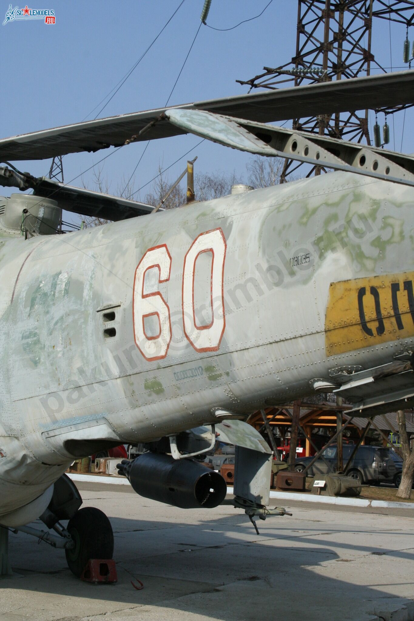 91.jpg