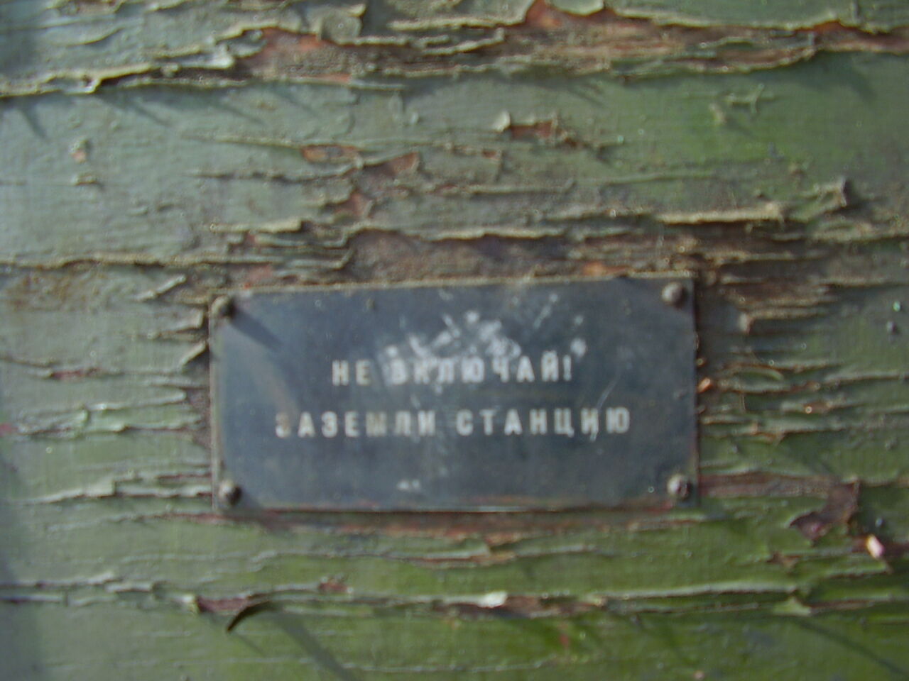P1010196.JPG
