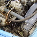P1010645.JPG