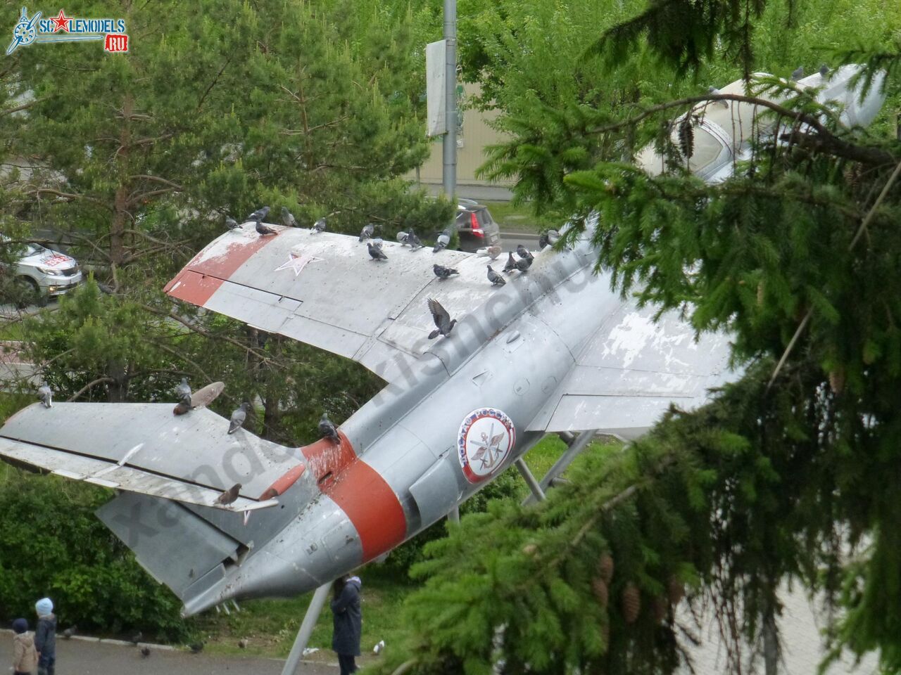 L-29_Delfin_Tyumen_31.jpg