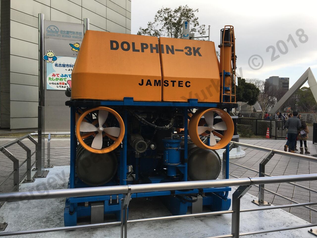 Dolphin_3K_7.jpg