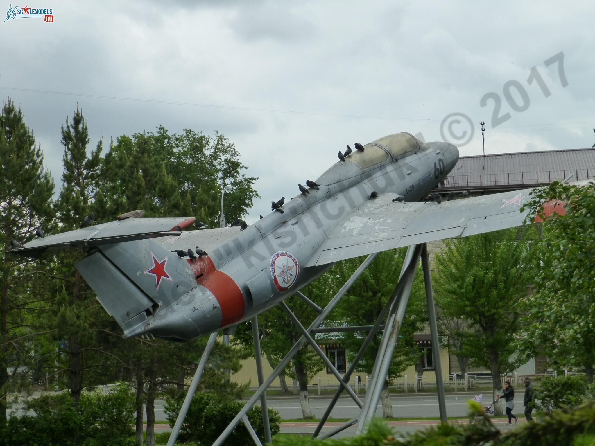 L-29_Delfin_Tyumen_28.jpg