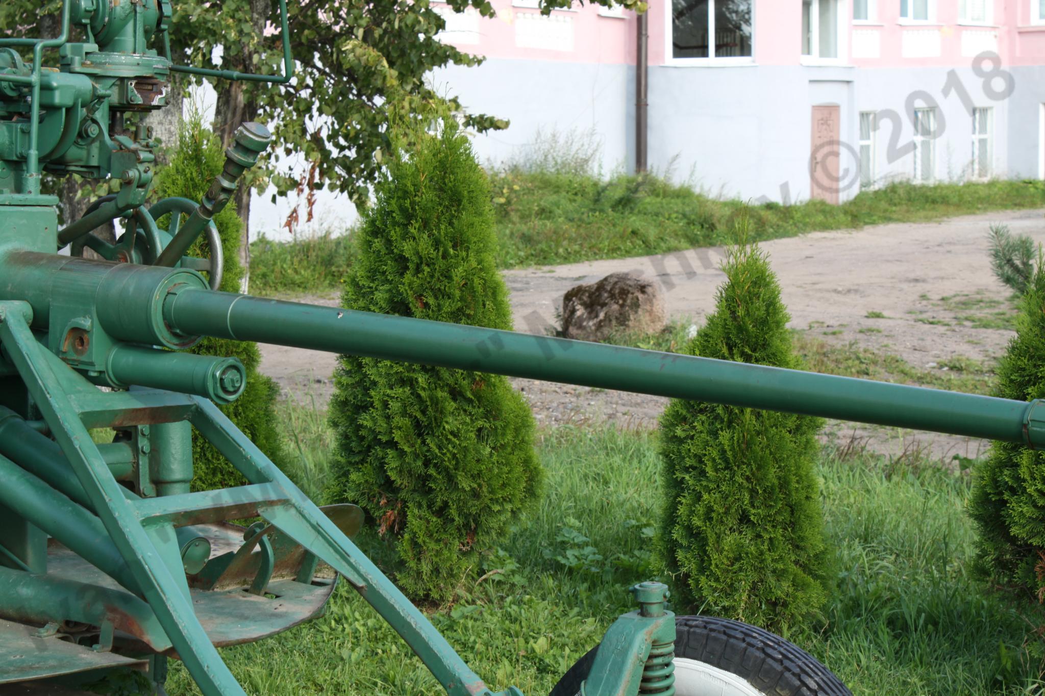 61-K_AA-gun_Bologoe_32.jpg