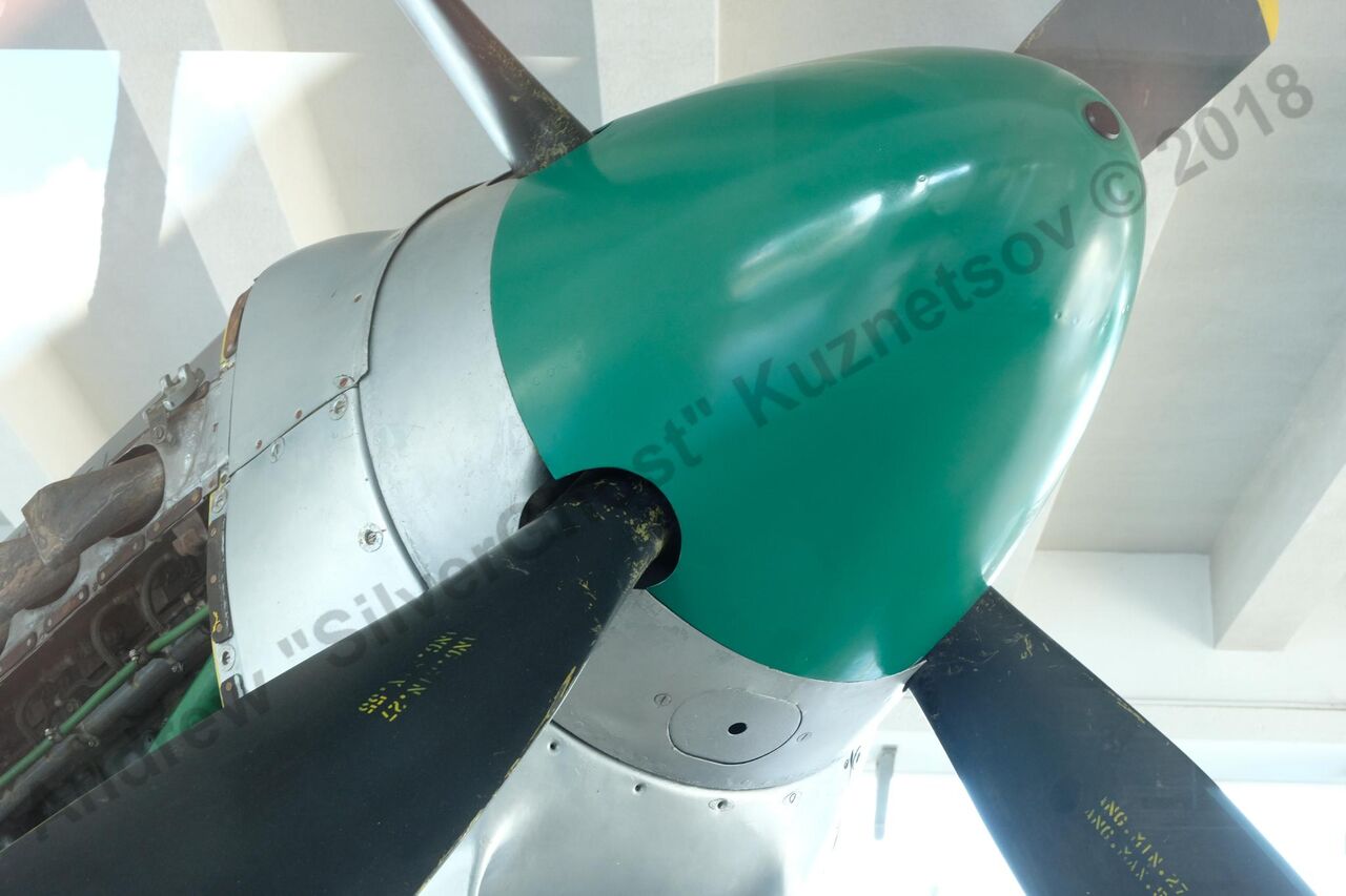 Fiat_G.59_Palermo_81.jpg