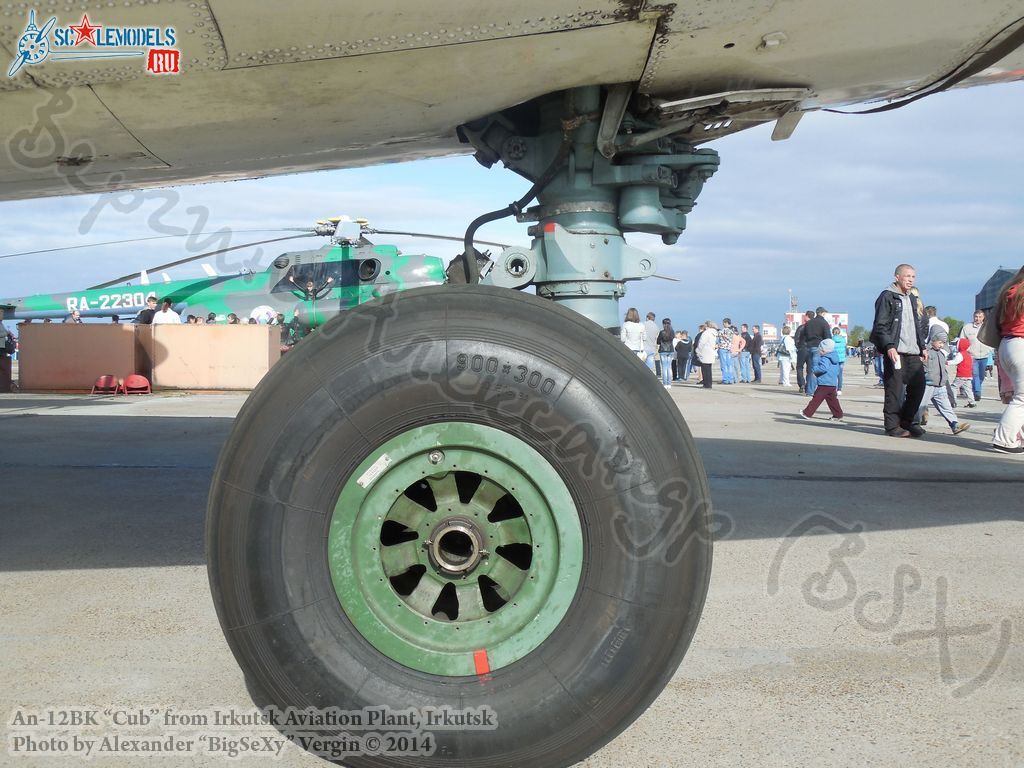 An-12BK(№11309)_231.jpg