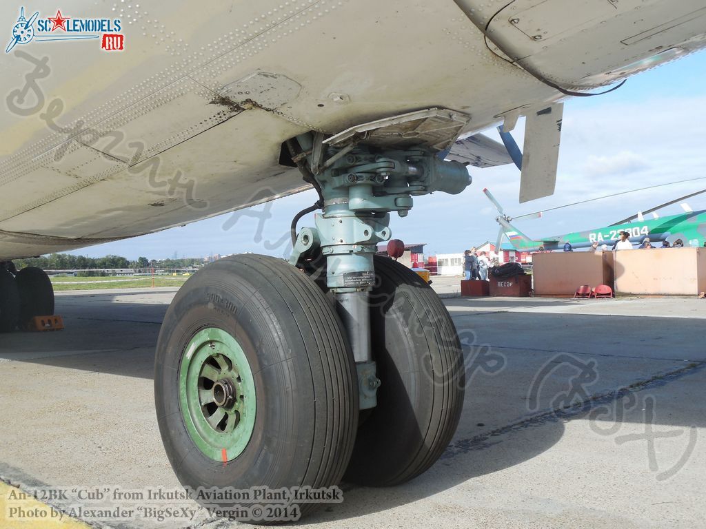 An-12BK(№11309)_232.jpg