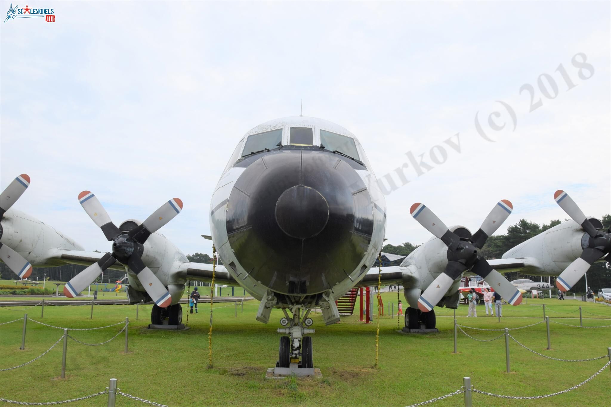 UP-3A_Misawa_72.jpg