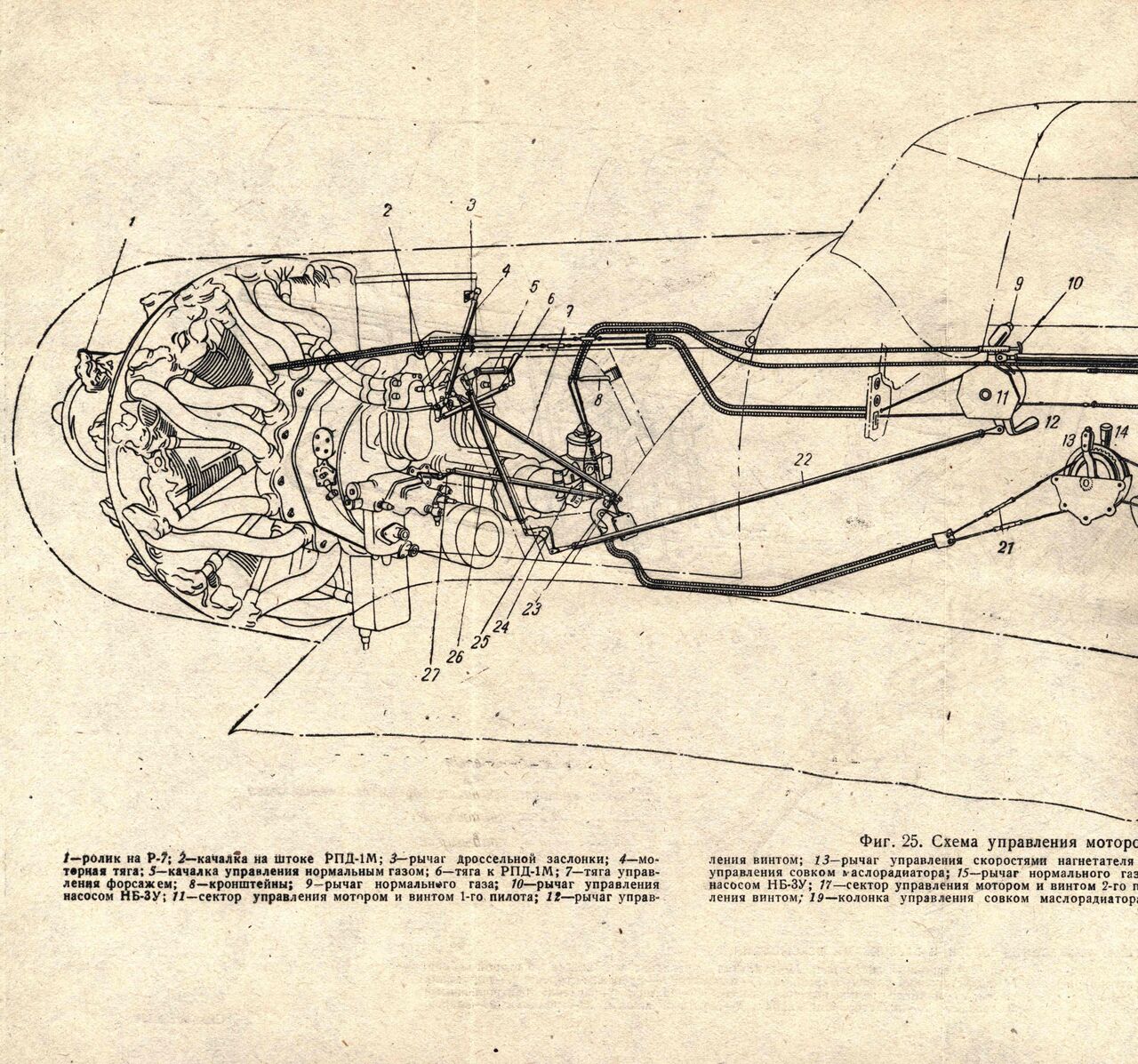 La-7UTI_00049.jpg