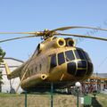 Mi-8T_Panki_100.jpg